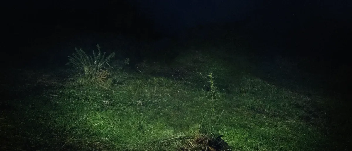 Sen Senra in Val\u00e8ncia