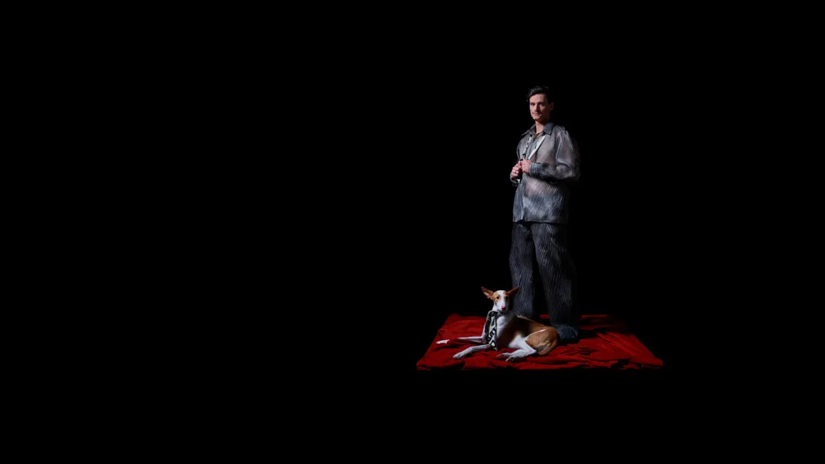 Innellea in Medell\u00edn