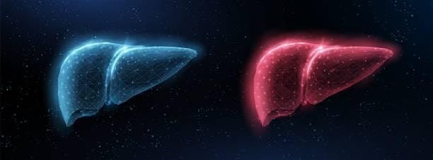 Our Chemical World: Detoxing your Body in a Toxic Environment