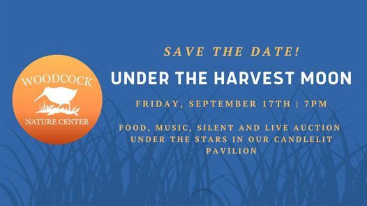 Under The Harvest Moon - SOLD OUT