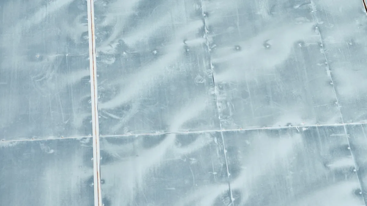 Jessica Shy in Vilnius