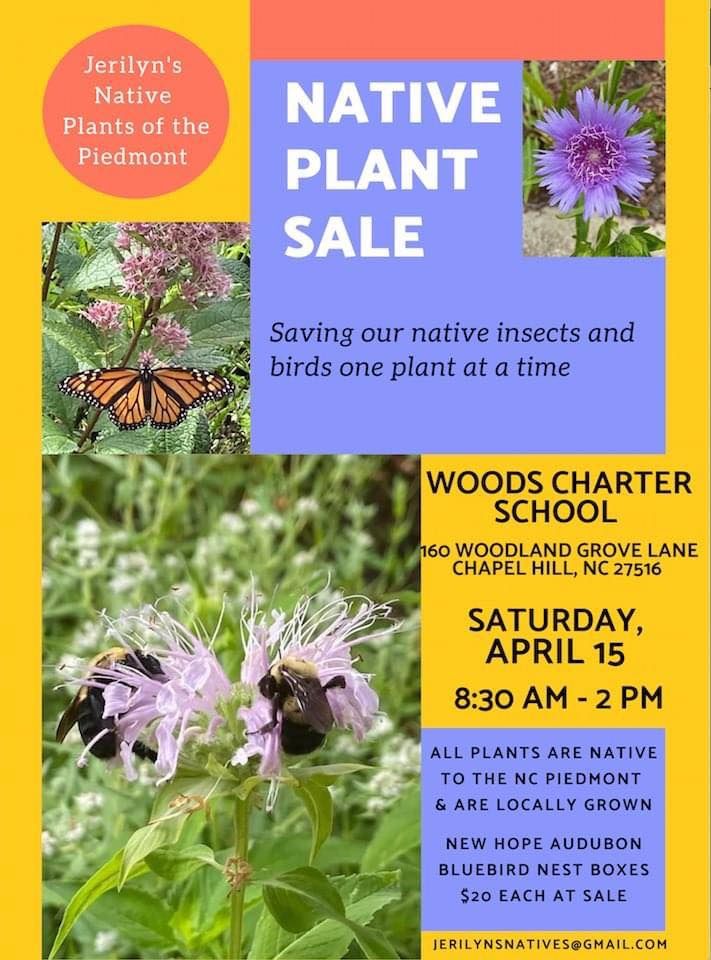 Jerilyns Native Plants of the Piedmont Native Plant Sale | Woods ...