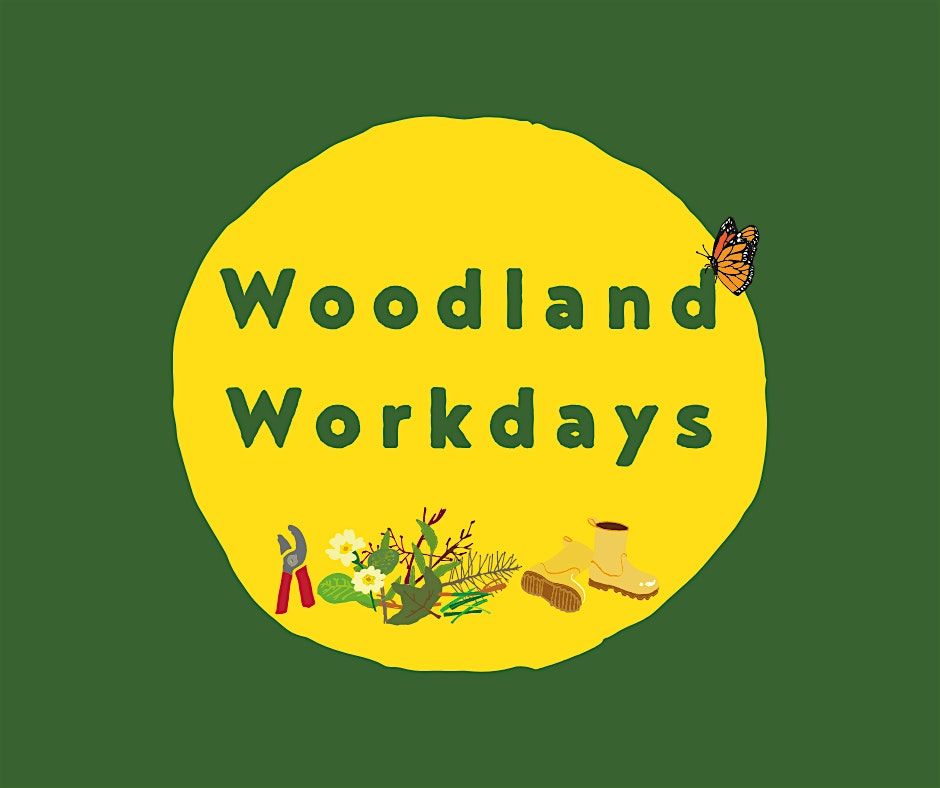Woodland Workday at Otley Chevin