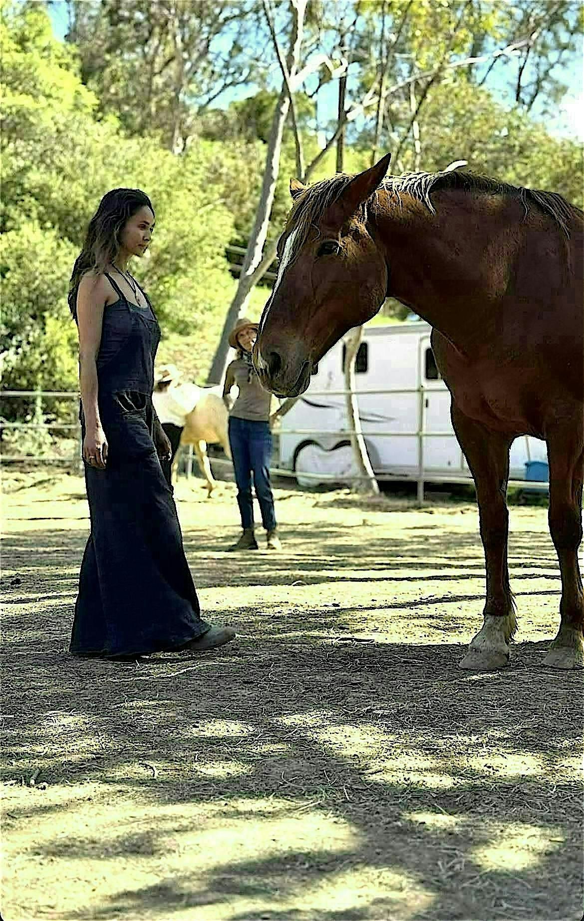 2026 YEAR OF THE HORSE ACTIVATION : CONNECT WITH HORSES + SOUND HEALING