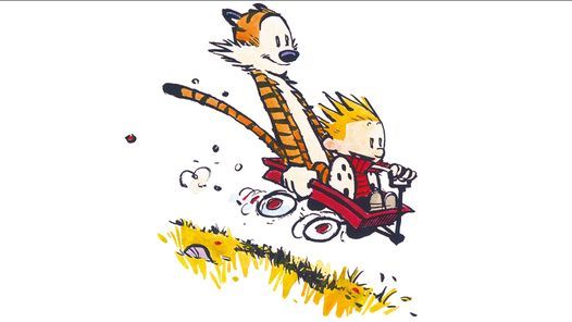 DEAR MR WATTERSON-The Story of Calvin and Hobbes