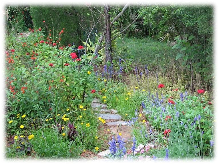 Florida-Friendly Gardening for Pollinators