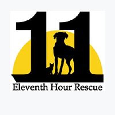 Eleventh Hour Rescue