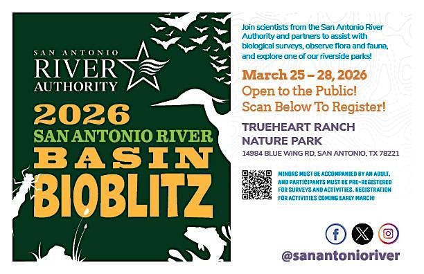 San Antonio River Basin Bioblitz 2026