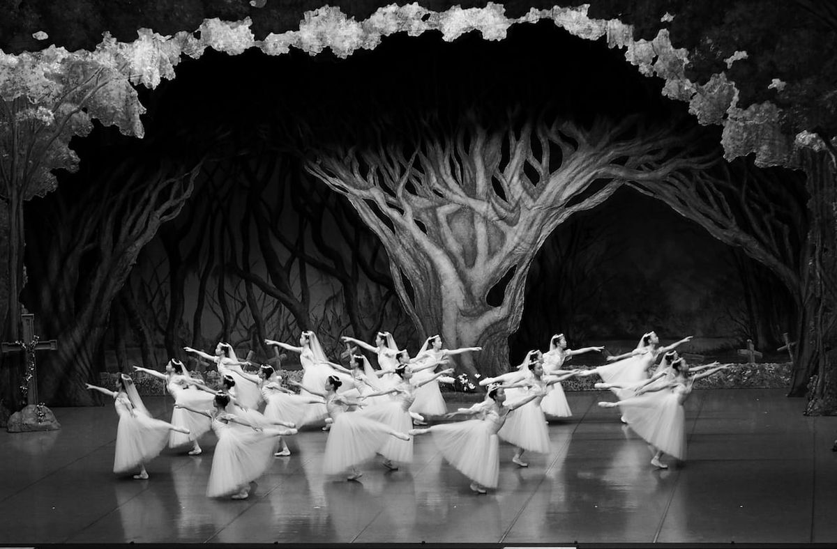 Boston Ballet: The Dream