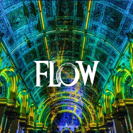 Eonarium FLOW : un spectacle lumineux immersif au Palais de la Bourse