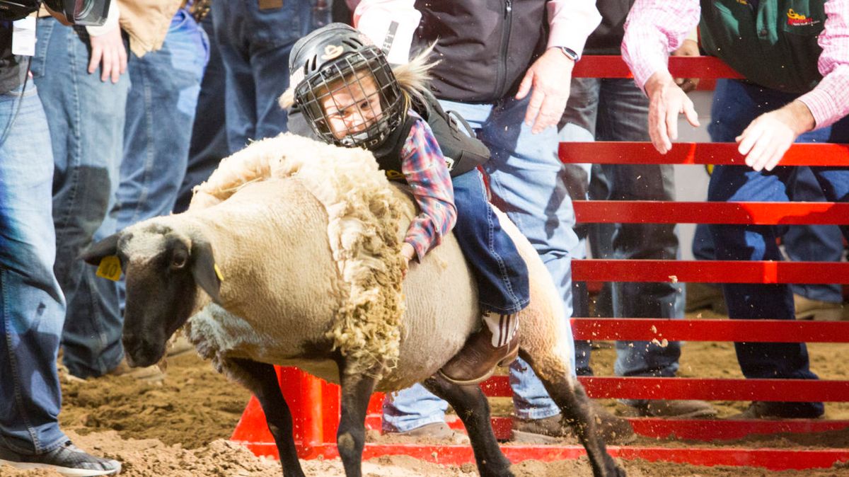 San Antonio Stock Show and Rodeo - Wildcard