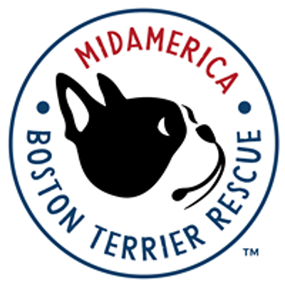 MidAmerica Boston Terrier Rescue
