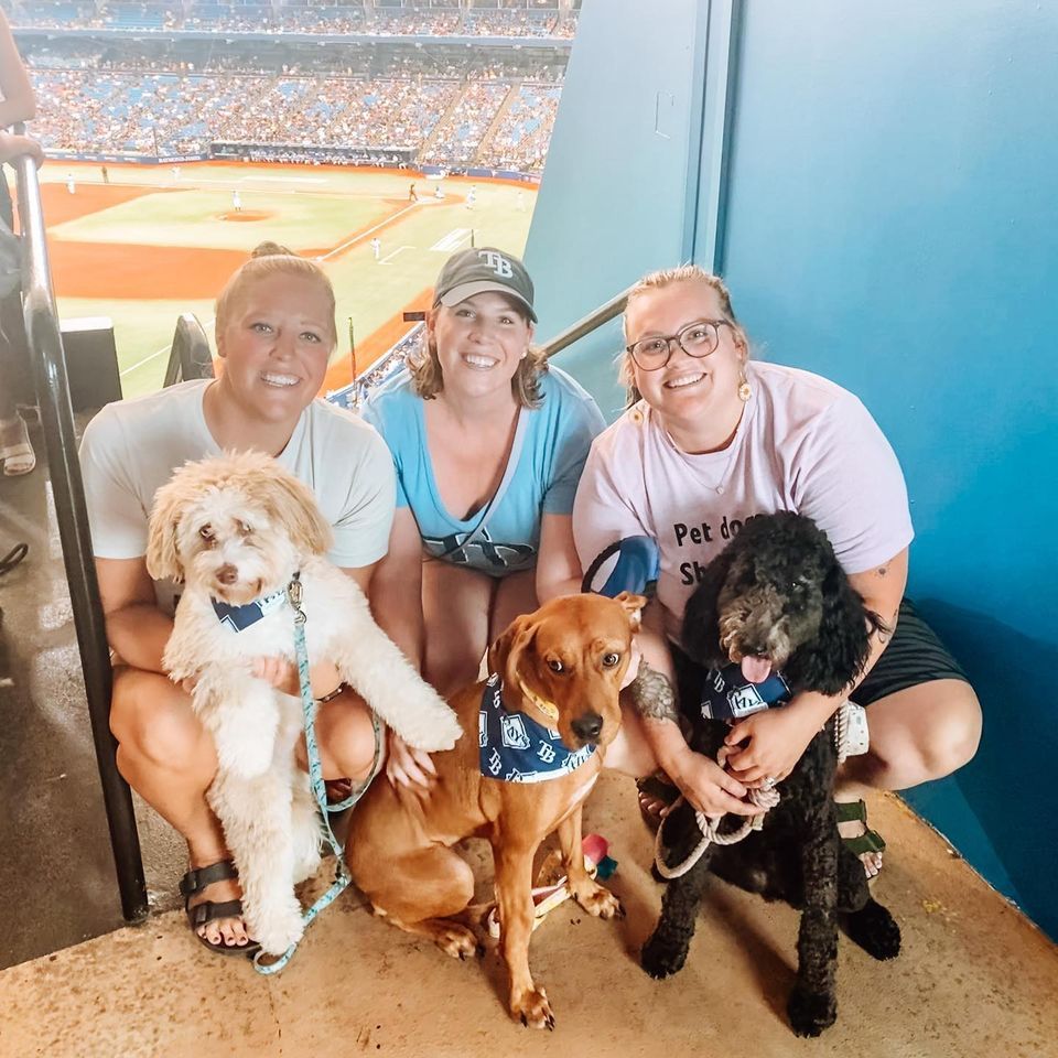 Dog Day at the Rays - The Tampa Bay 100