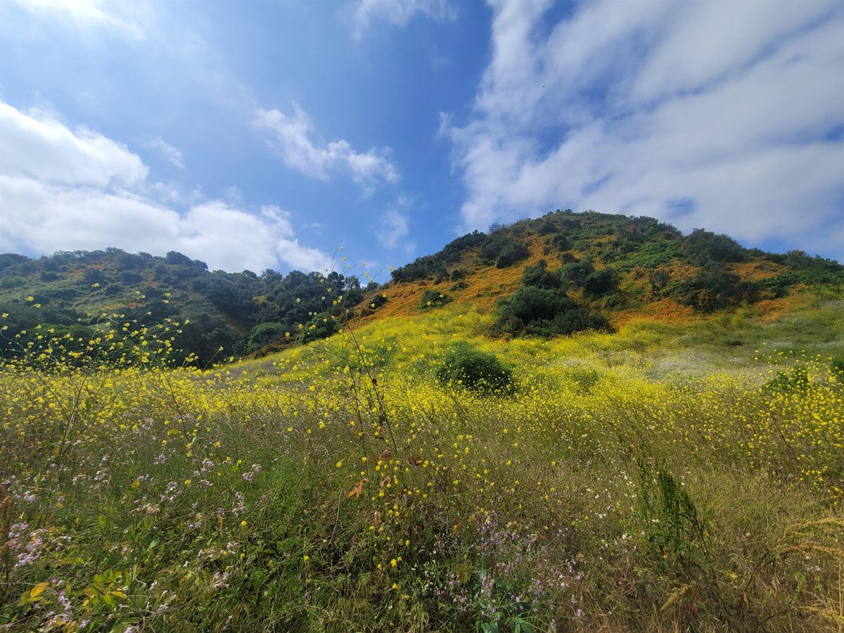 Neuro-Botany: A Tactical Foraging Hike Unique to San Diego