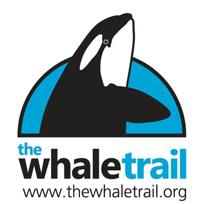 The Whale Trail