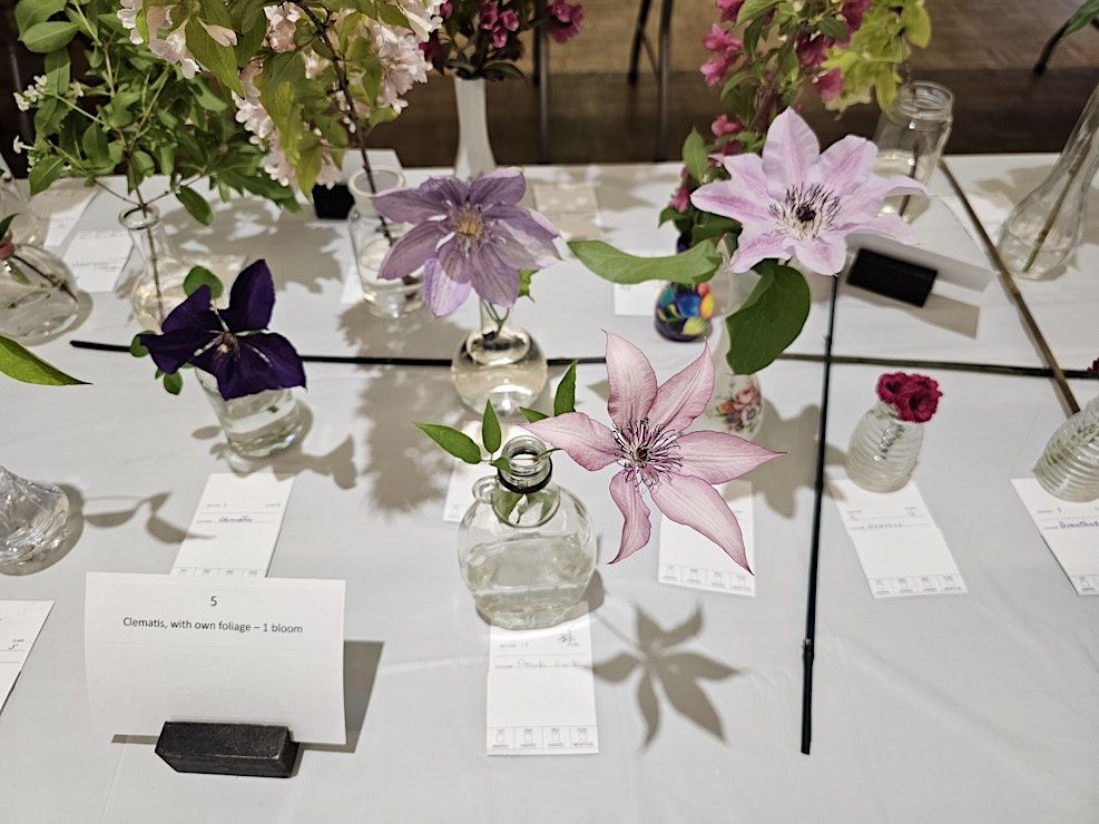 Event Photos