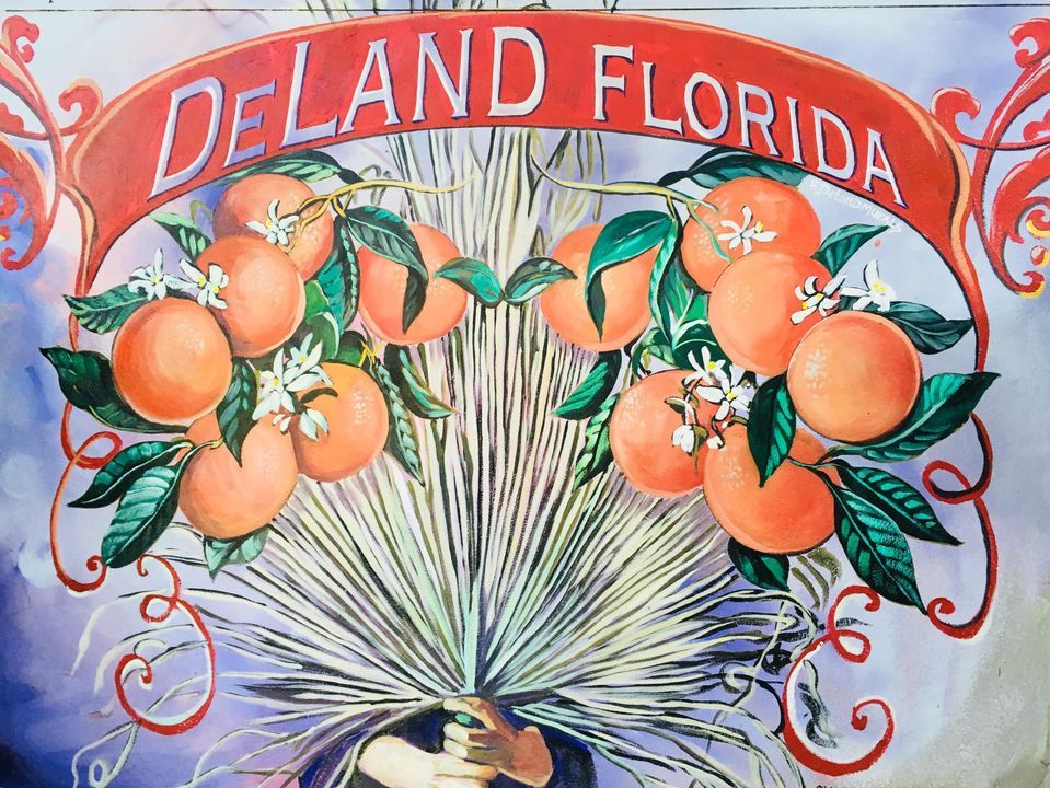 HW AVA\/IVV 6\/11KM Walks in DeLand, FL
