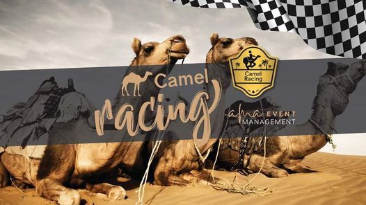 Camel Races - Coffs Harbour. at Coffs Harbour Showground on 11th ...