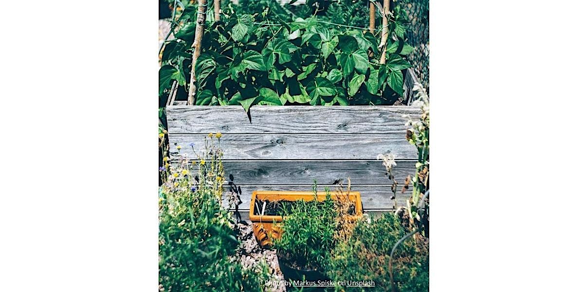 Frederick County Master Gardeners:  Container Gardening with Native Plants