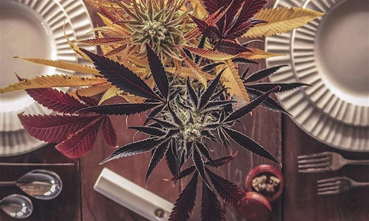 Vitabudz Annual Budzgiving