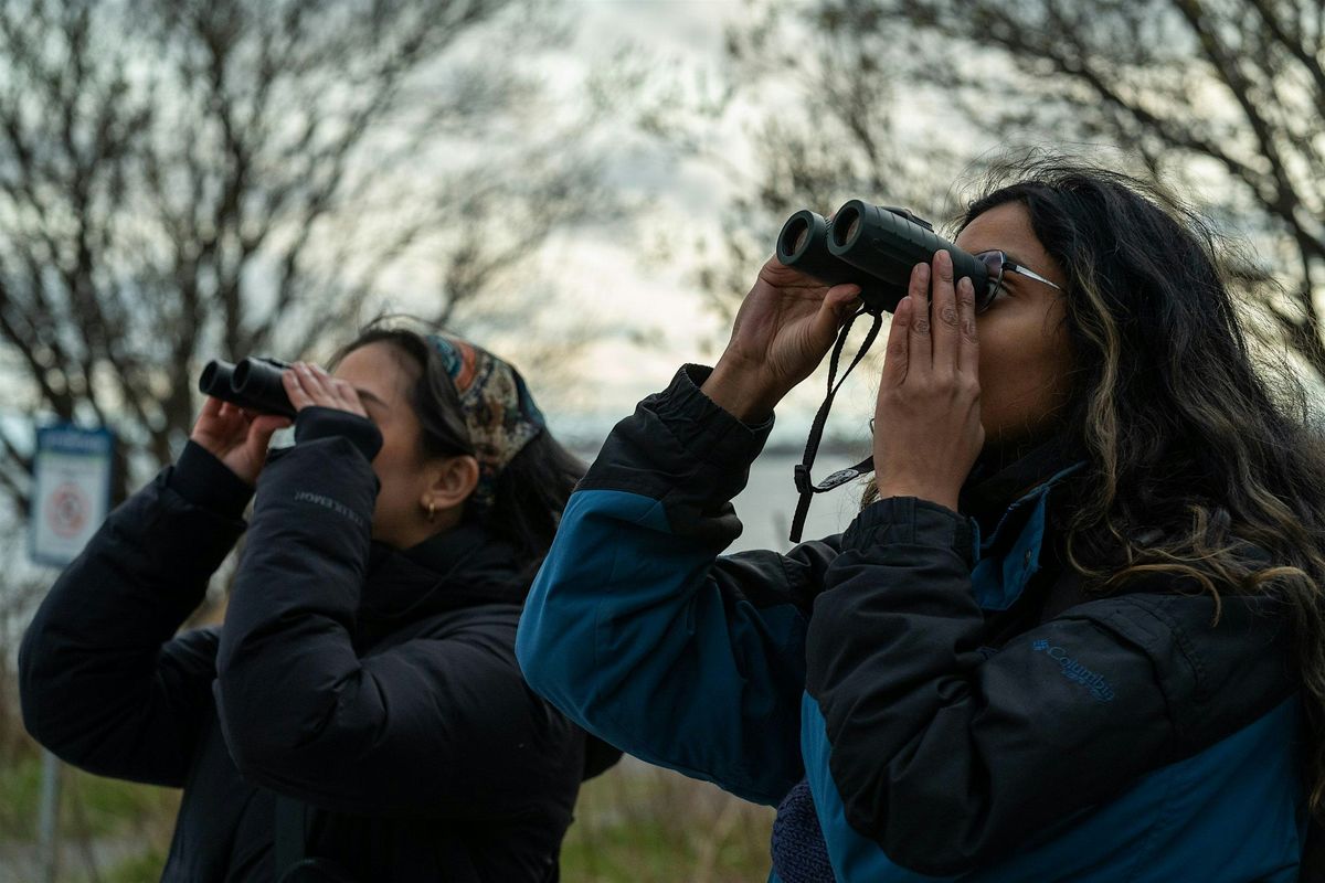 Birding Basics: Beginner