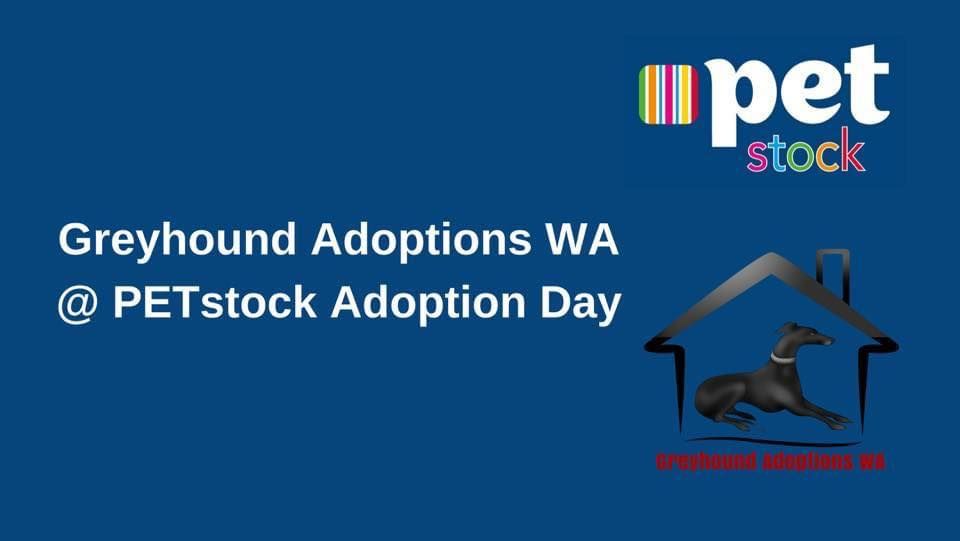 PETstock Ellenbrook Adoption Day 11 Main St, Ellenbrook WA 6069