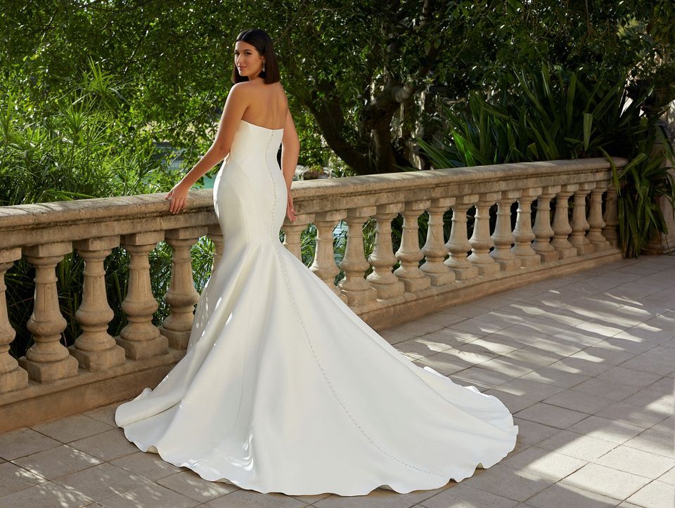 Curvy Girl Collection