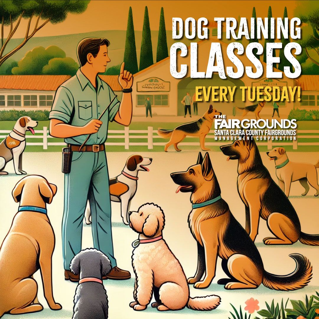 Orange Dog Club