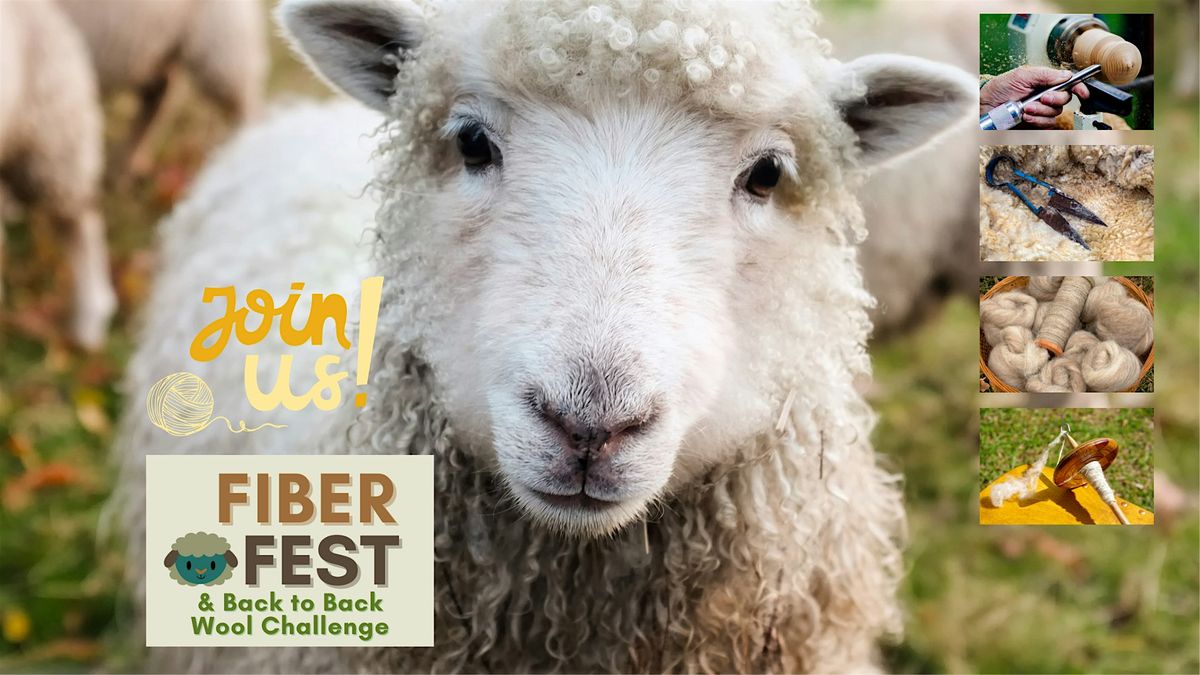 Fiber Fest & Back to Back Wool Challenge