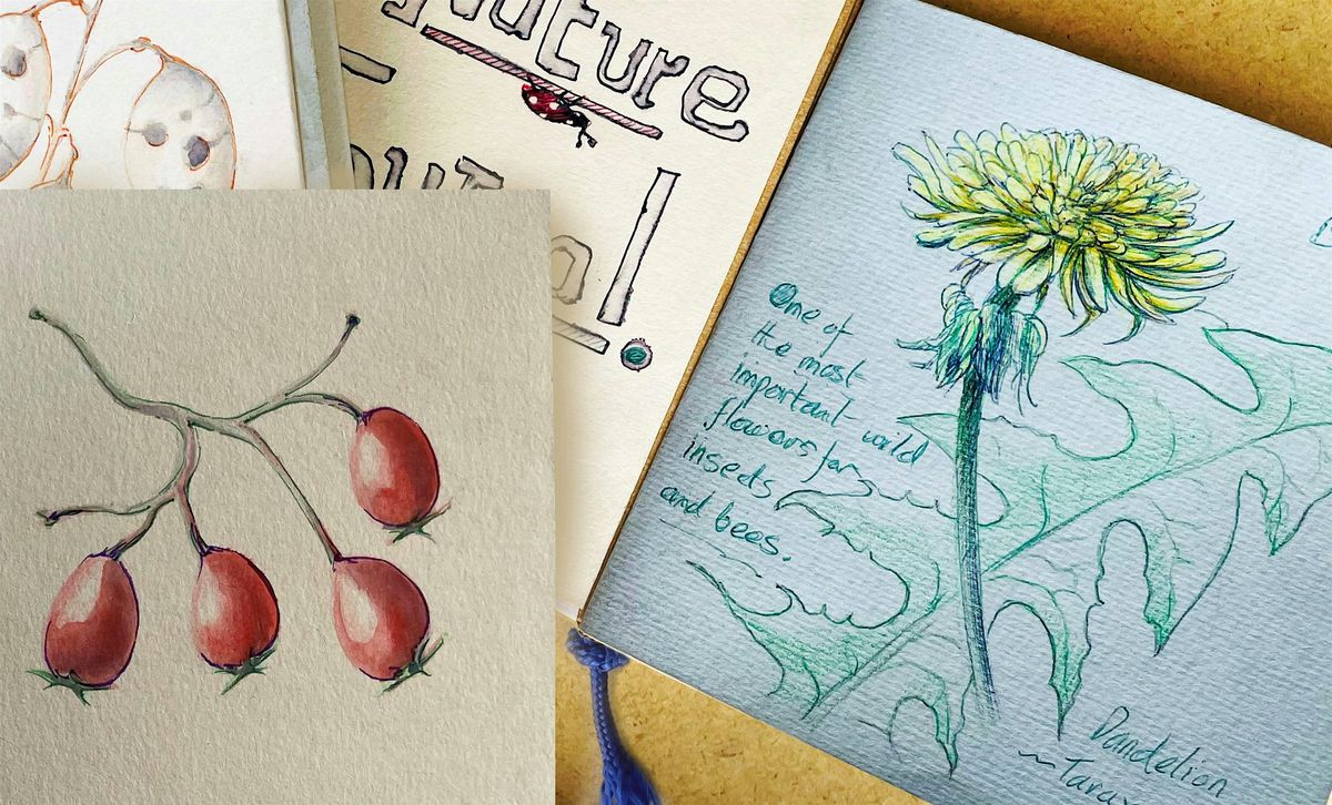 Sketchbook & Nature journaling