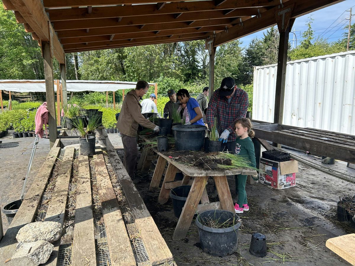 KCD Native Plant Cooperative