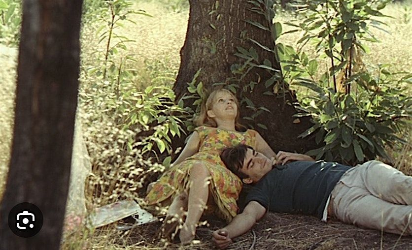 Movie screening - Le Bonheur (with Eng sub)