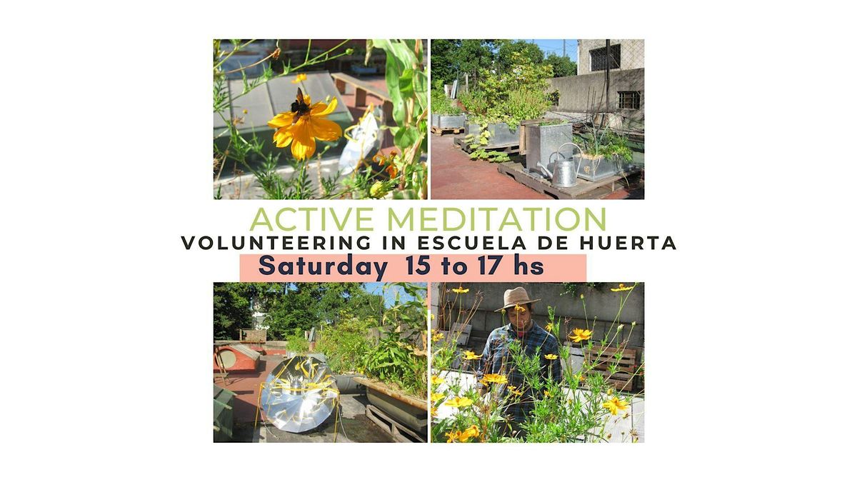 Active Meditation (Volunteering)