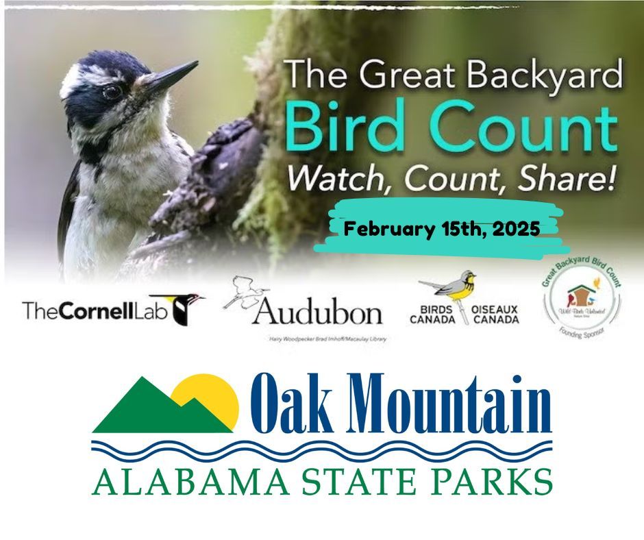 The Great Backyard Bird Count 2025 200 Terrace Dr, Pelham, AL, United