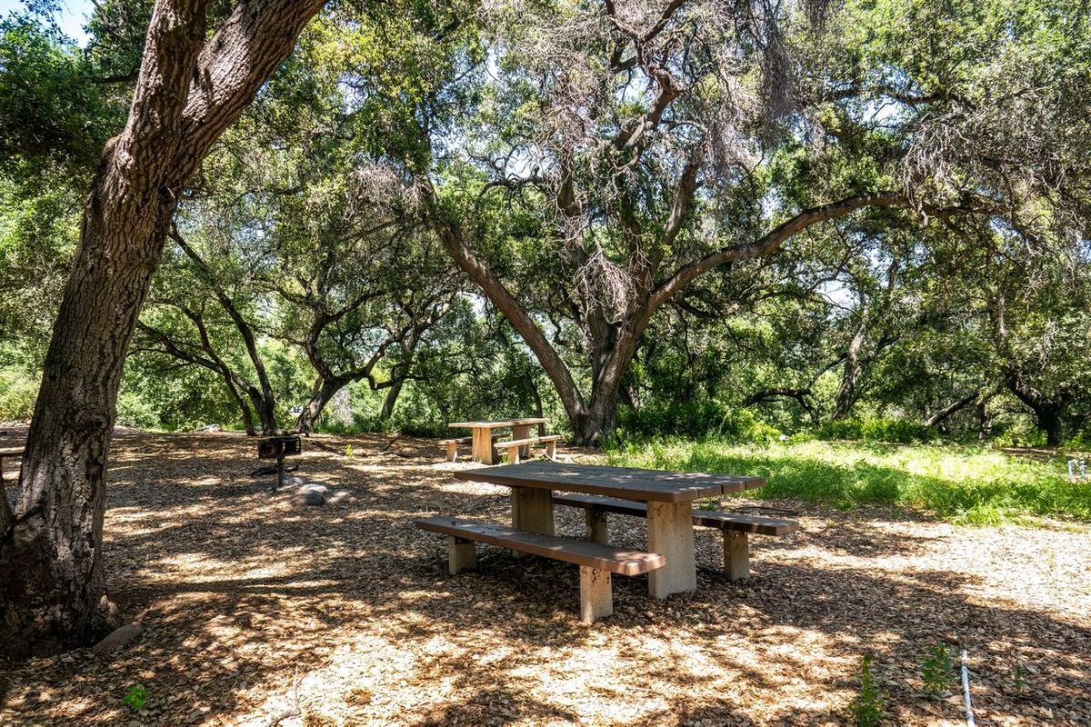 Parking HA HA HA HA HA HA HA - Pasadena