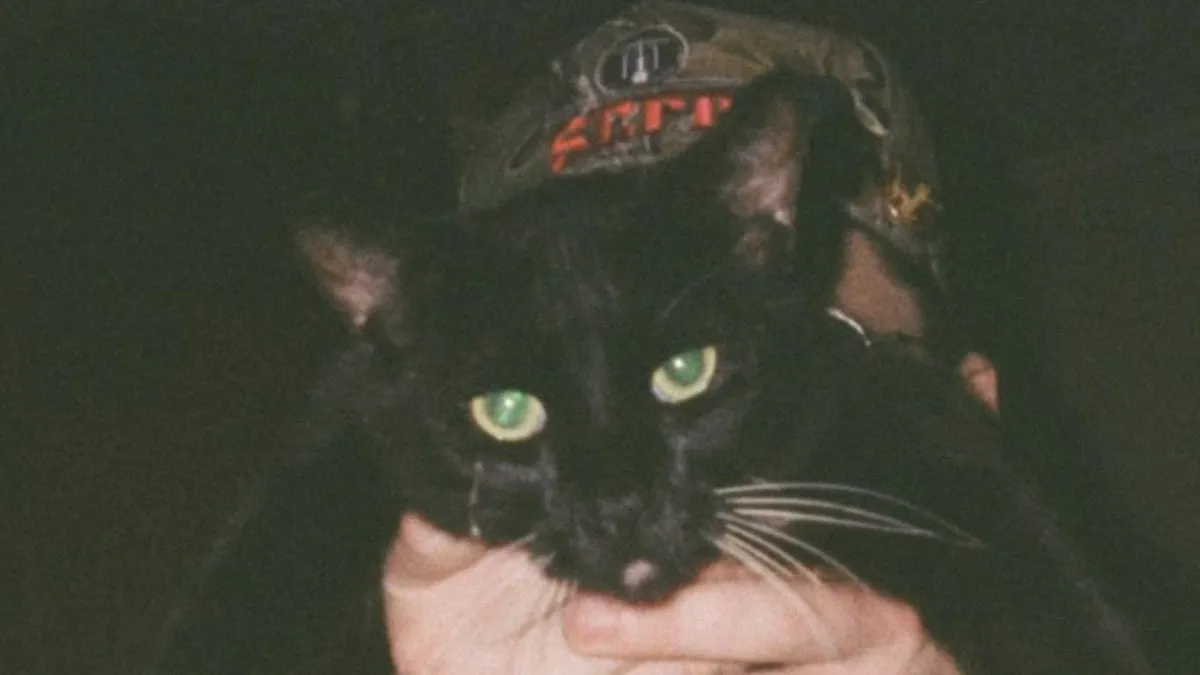 Shallowater, Ratboys in Portland