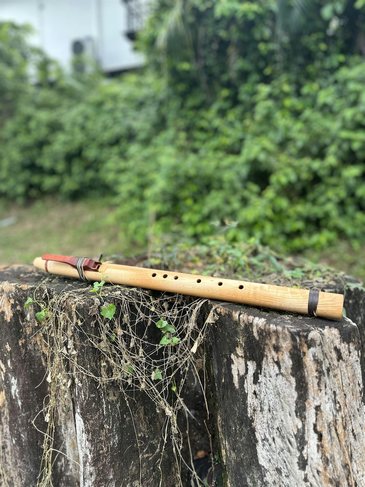 Native American Flute - Level 1