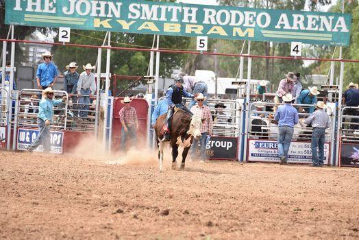 Kyabram Rodeo 2022 | online | March 10 to March 11