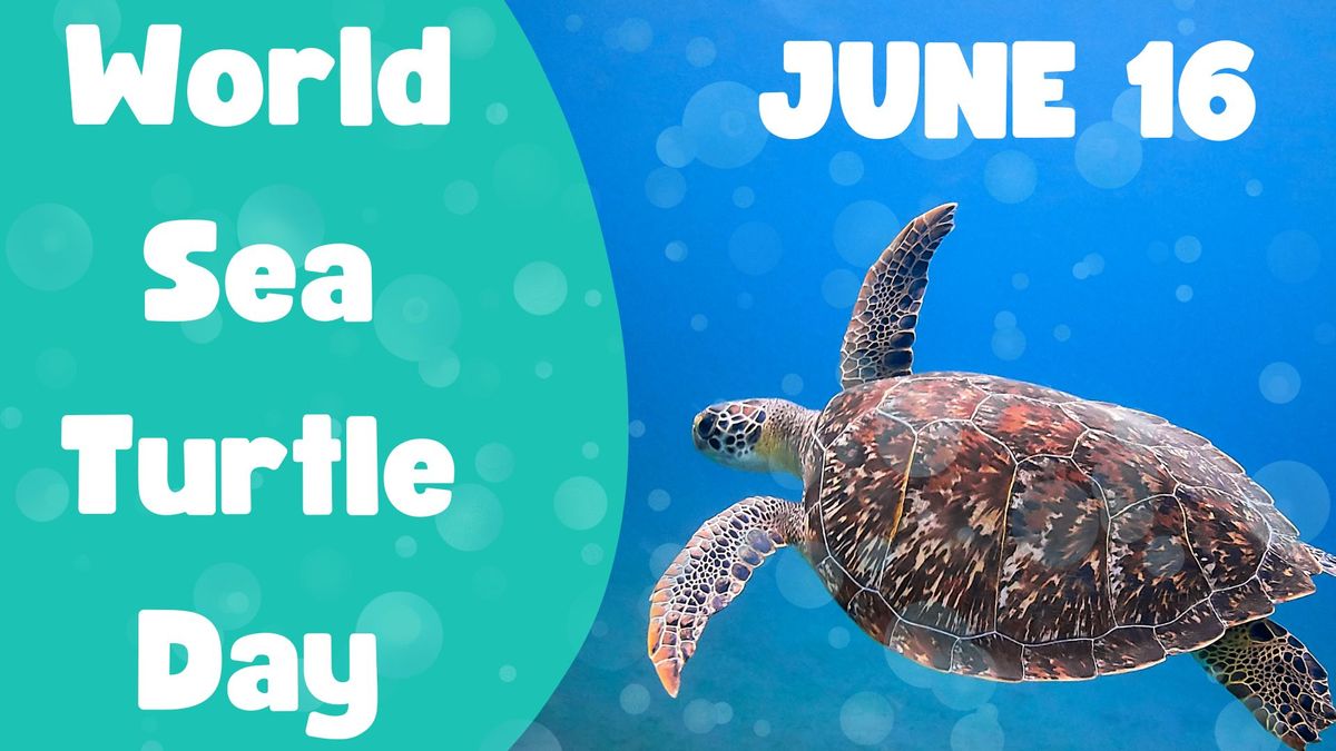 World Sea Turtle Day 8225 N Wickham Rd, Melbourne, FL, United States