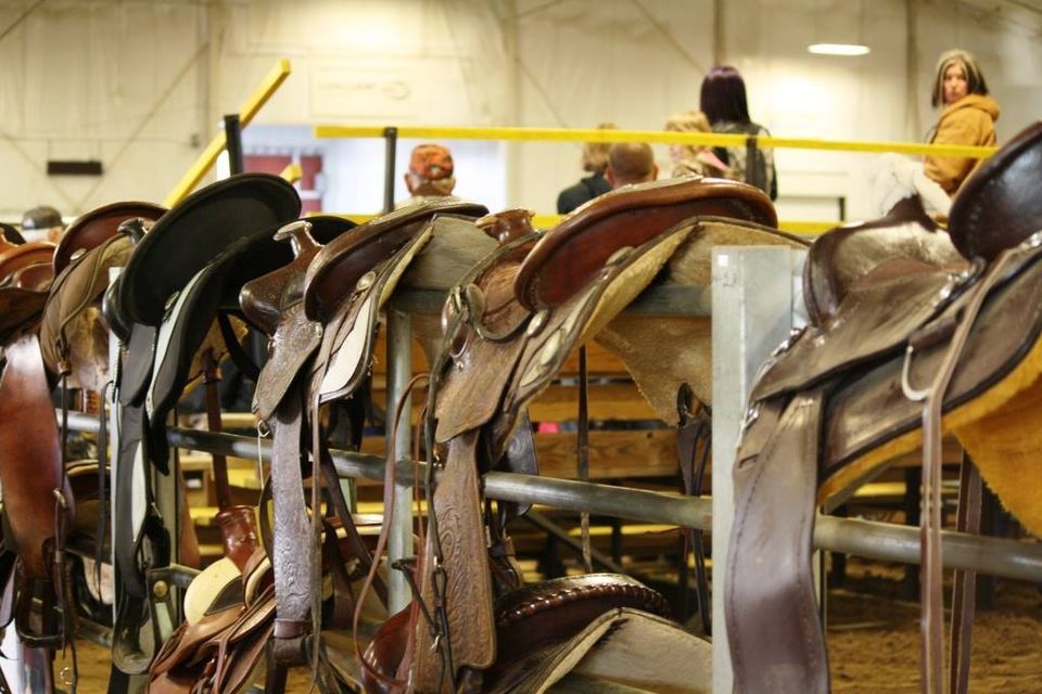 Horse and Tack Auction