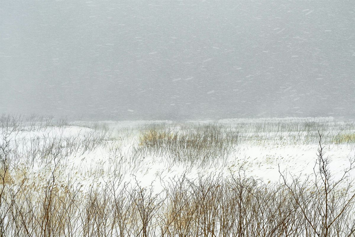 Vernissage de l'exposition de Catherine Henriette