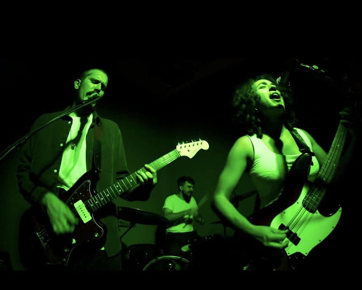 Viloria, The People Who, Lawn, After The Sunset, Overmania, & Andrews Place