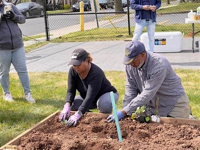 NCC\u00ae Baby Bloomers Urban Garden Spring Opening Part II