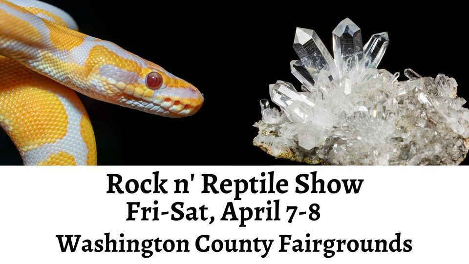 Rock n Reptile Show The Washington County Agricultural Fair, Inc