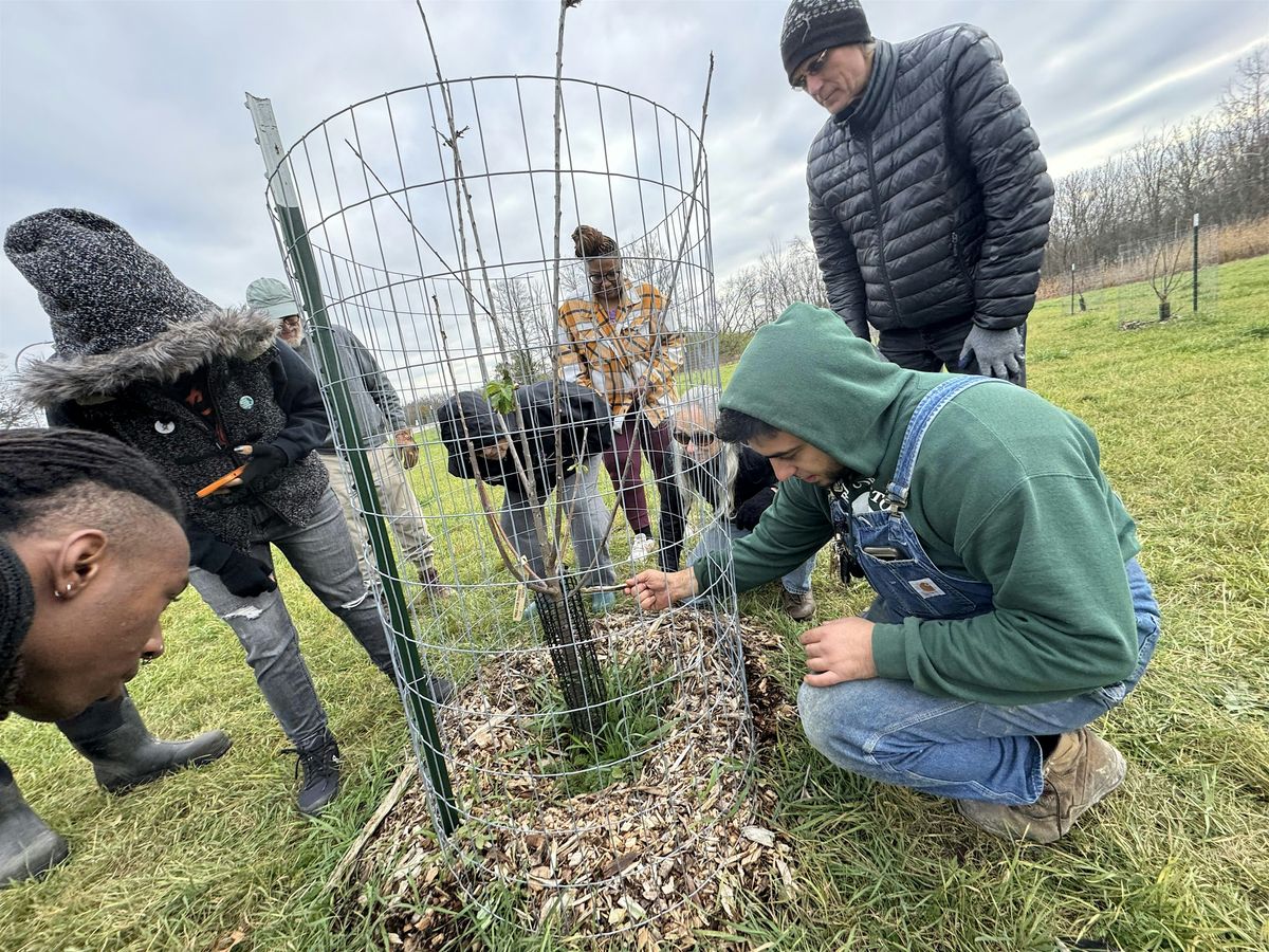 December Weekday Workdays!