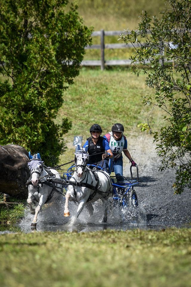 Ride or Drive Clinic with Robin Groves BRADFORD EQUESTRIAN CENTER LLC