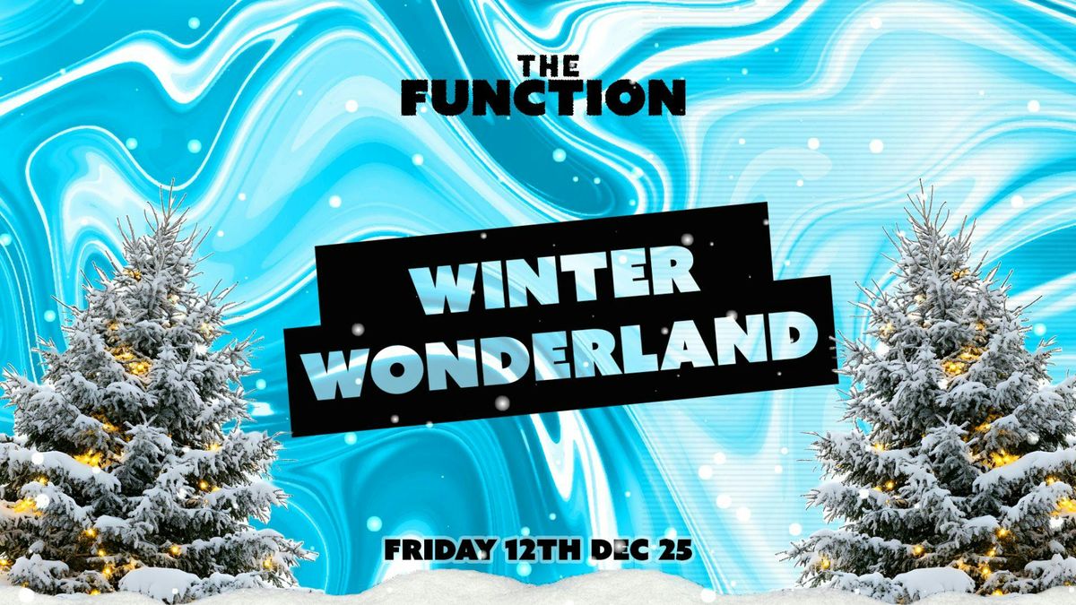 \ud83c\udf84Winter Wonderland \ud83c\udf84- The Function - Canterbury