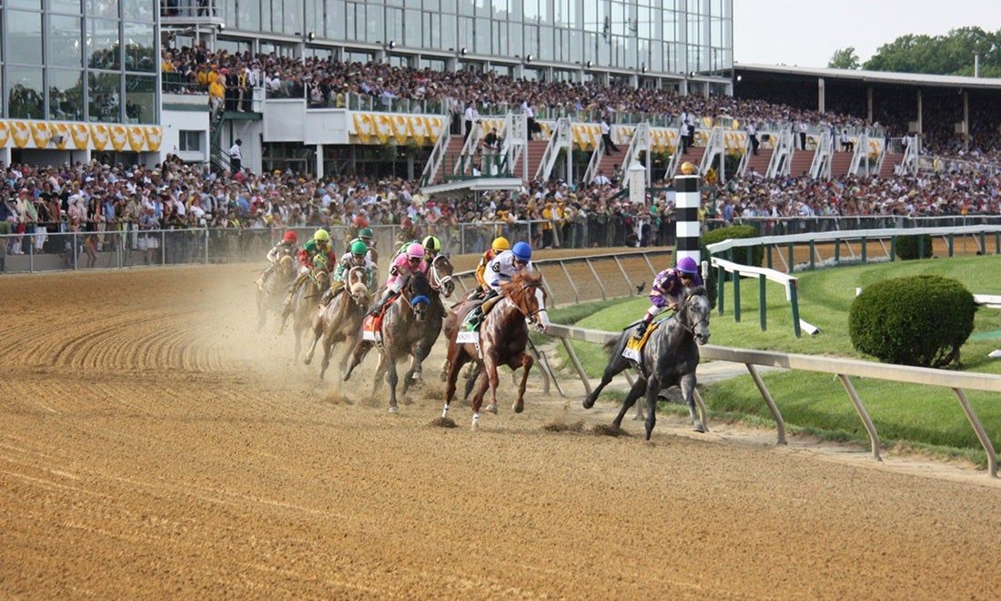 Preakness 151