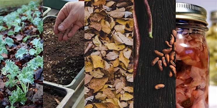 Grow the Best Garden: In-Person 5-Part Workshop Series