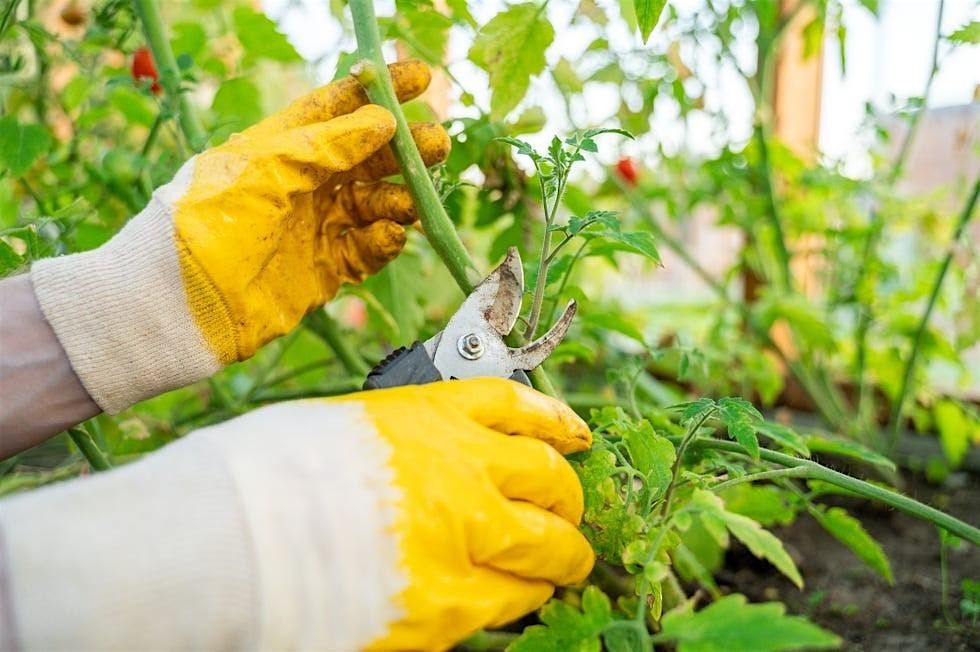 Green Thumbs Gathering
